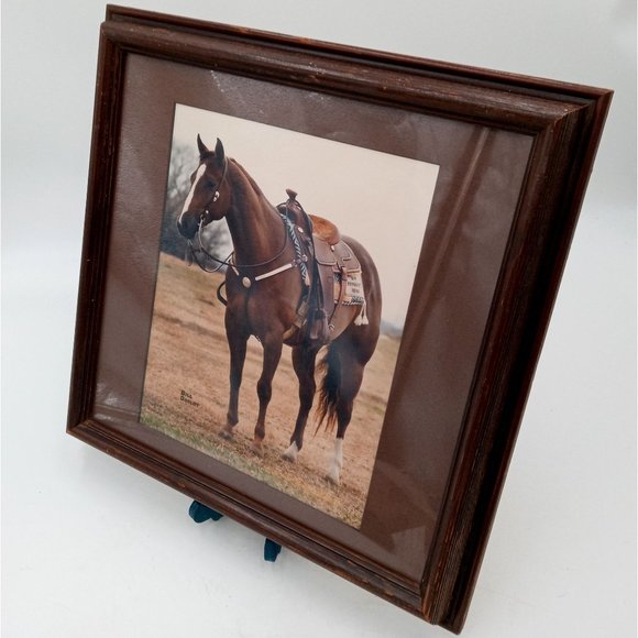 Beautiful Horse Photograph Framed Found Photo Art Cowboy Western Ranch Decor 14 - Picture 6 of 13